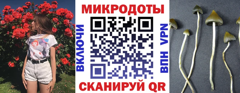 Галлюциногенные грибы MAGIC MUSHROOMS  Щёкино 
